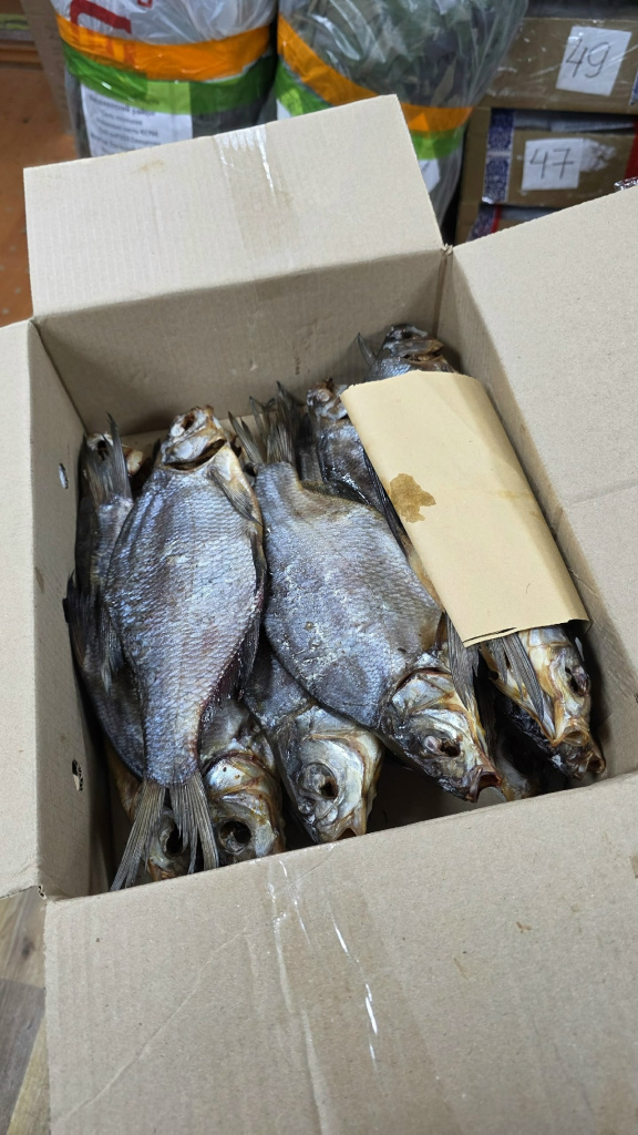 рыба.jpg