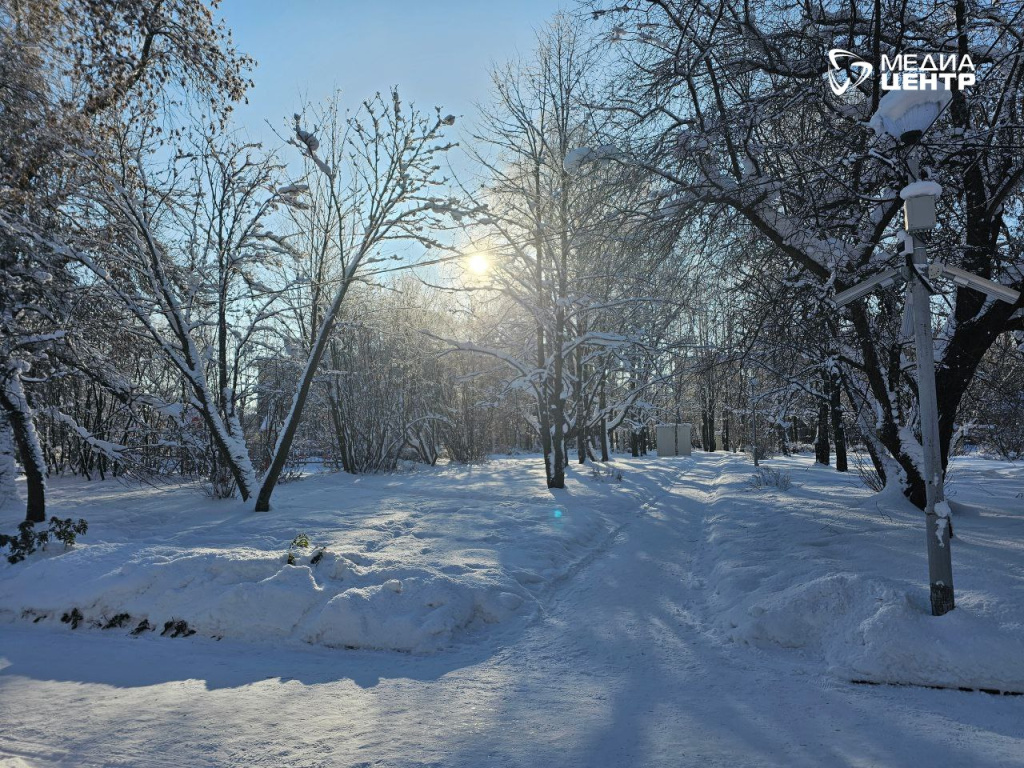 погода февраль.jpg