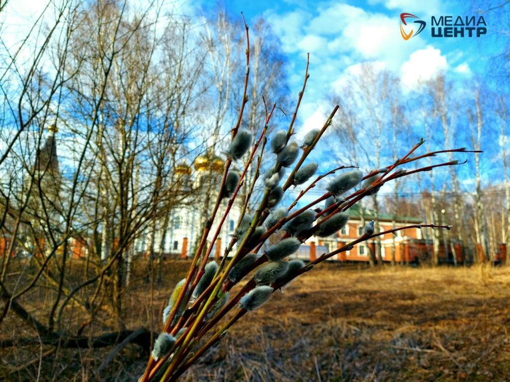 вербное.jpg вербное.jpg