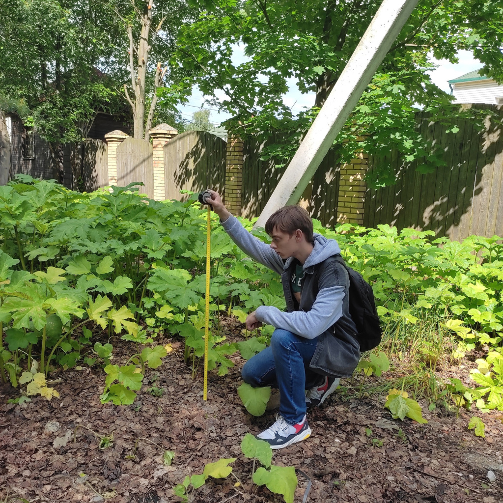 юный исследователь борщевика Афанасий Лисишин 1 фото предоставлены им.jpg юный исследователь борщевика Афанасий Лисишин 1 фото предоставлены им.jpg