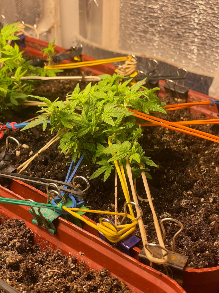 Rx3ja0RRVM1HuPQTj9w-JRfVUfPfobF8qQvai5JgTNqneLIQLDA76y3TYXGr3FamQnS47y-jEv_on1h10QeH4mLn.jpg Rx3ja0RRVM1HuPQTj9w-JRfVUfPfobF8qQvai5JgTNqneLIQLDA76y3TYXGr3FamQnS47y-jEv_on1h10QeH4mLn.jpg