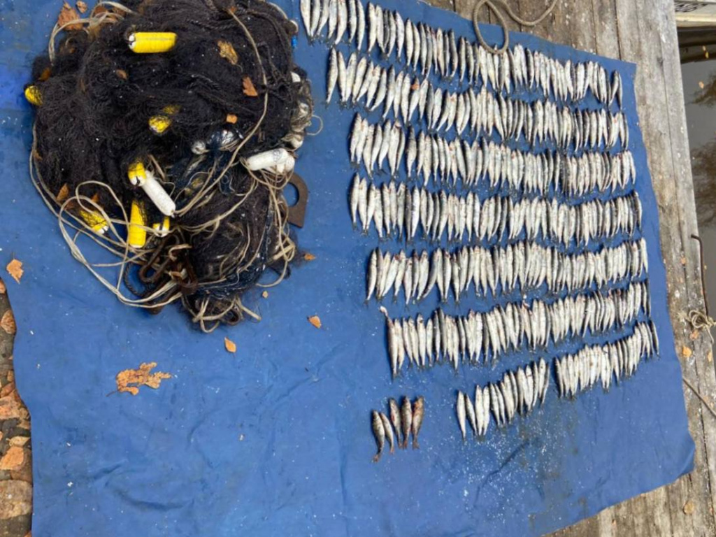 03f1fe57-9b2a-456f-b58d-df53116ec222.jpg 03f1fe57-9b2a-456f-b58d-df53116ec222.jpg