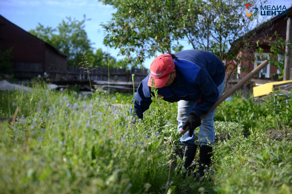 дача дачник.jpg