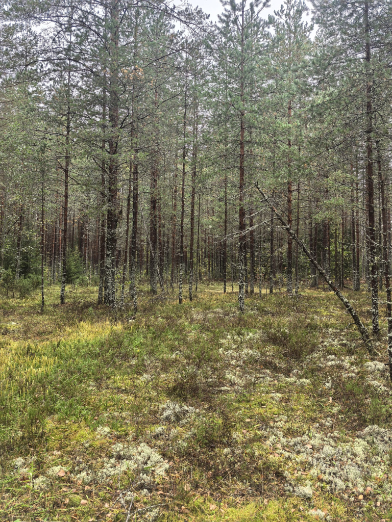 6gIKArcM7F393mgHGXveINM2u4_MtTbfVV_RAFmqa6dbPmPs05KadJDx8GejNKHEASA0ng781wk4BqrmixeK2oVE.jpg 6gIKArcM7F393mgHGXveINM2u4_MtTbfVV_RAFmqa6dbPmPs05KadJDx8GejNKHEASA0ng781wk4BqrmixeK2oVE.jpg