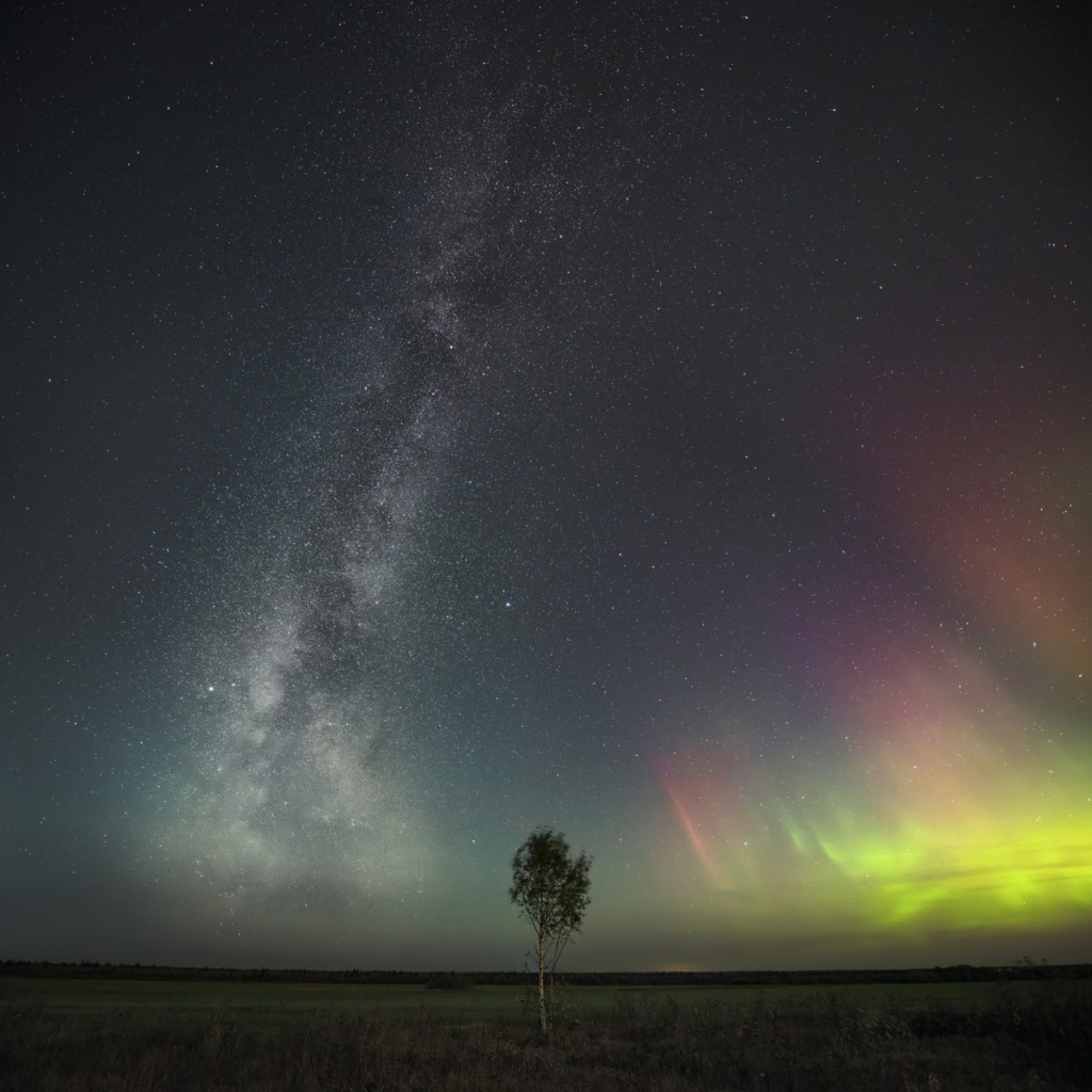 2 снимок победителб.jpg