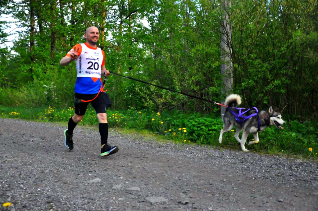 Лапы и тропы_автор проекта Егор Адяев.jpg Лапы и тропы_автор проекта Егор Адяев.jpg